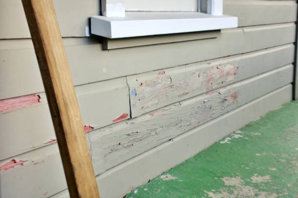 Best Construction Debris Removal  in Weweantic, MA